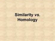 Similarity vs. Homology