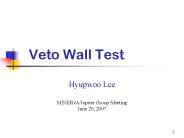 Veto Wall Test