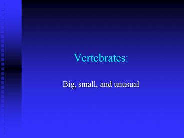 Vertebrates: