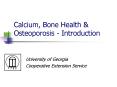 Calcium, Bone Health PowerPoint PPT Presentation