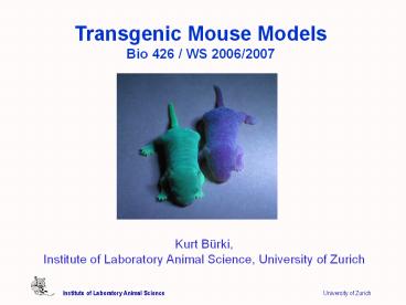 Institute of Laboratory Animal Science                        University of Zurich