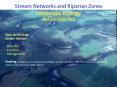 Stream Networks and Riparian Zones PowerPoint PPT Presentation
