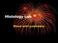 Histology Lab PowerPoint PPT Presentation