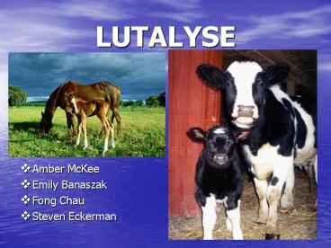 LUTALYSE