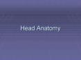 Head Anatomy PowerPoint PPT Presentation
