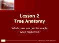 Maple Syrup in the Classroom by Pete Barnum PowerPoint PPT Presentation