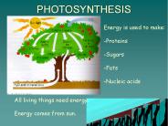 PHOTOSYNTHESIS