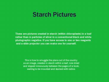 Starch Pictures