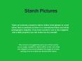 Starch Pictures PowerPoint PPT Presentation