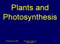 Plants and Photosynthesis PowerPoint PPT Presentation