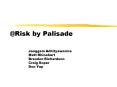Risk by Palisade PowerPoint PPT Presentation