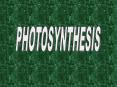 PHOTOSYNTHESIS PowerPoint PPT Presentation