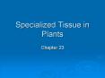 Specialized Tissue in Plants PowerPoint PPT Presentation
