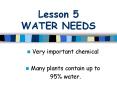 Lesson 5 WATER NEEDS PowerPoint PPT Presentation