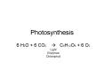 Photosynthesis PowerPoint PPT Presentation
