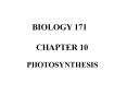PHOTOSYNTHESIS PowerPoint PPT Presentation