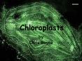 Chloroplasts PowerPoint PPT Presentation