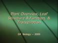 Plant Overview, Leaf Structure PowerPoint PPT Presentation
