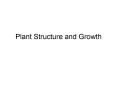Plant Structure and Growth PowerPoint PPT Presentation