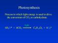 Photosynthesis PowerPoint PPT Presentation