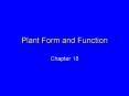 Plant Form and Function PowerPoint PPT Presentation