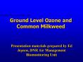 Presentation materials prepared by Ed Jepsen, DNR Air Management Biomonitoring Unit PowerPoint PPT Presentation