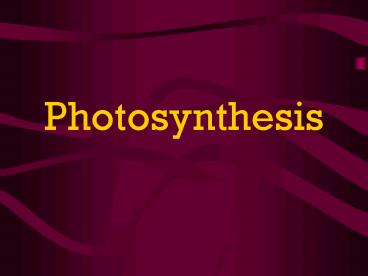 Photosynthesis