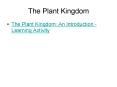 The Plant Kingdom PowerPoint PPT Presentation