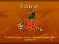 Leaves PowerPoint PPT Presentation