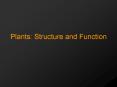 Plants: Structure and Function PowerPoint PPT Presentation