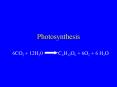 Photosynthesis PowerPoint PPT Presentation
