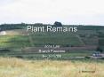 Plant Remains PowerPoint PPT Presentation