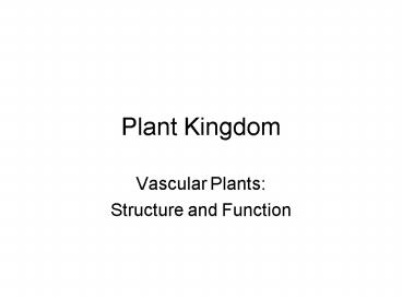 Plant Kingdom