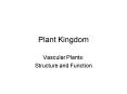 Plant Kingdom PowerPoint PPT Presentation