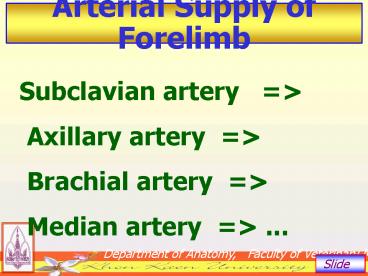 Subclavian artery Axillary artery Brachial artery Median artery ...