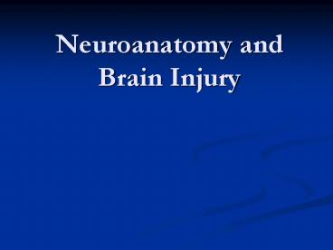 Neuroanatomy and Brain Injury