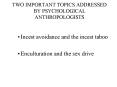 TWO IMPORTANT TOPICS ADDRESSED BY PSYCHOLOGICAL ANTHROPOLOGISTS PowerPoint PPT Presentation