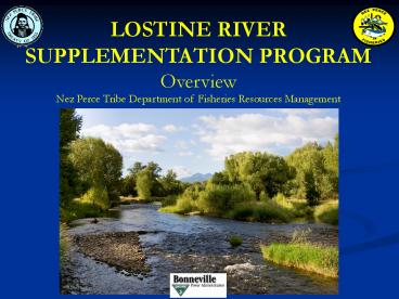 LOSTINE RIVER SUPPLEMENTATION PROGRAM