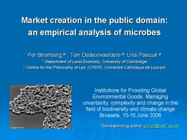 Market creation in the public domain: