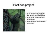 Post doc project