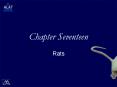Chapter Seventeen PowerPoint PPT Presentation