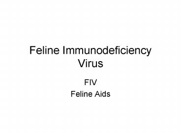 Feline Immunodeficiency Virus