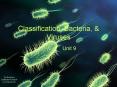 Classification, Bacteria, PowerPoint PPT Presentation