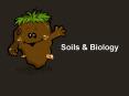 Soils PowerPoint PPT Presentation