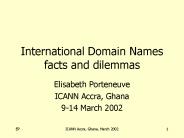 International Domain Names facts and dilemmas