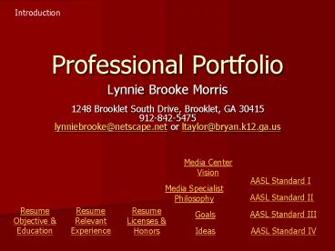 Professional Portfolio