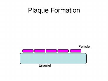 Plaque Formation