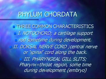 PHYLUM CHORDATA