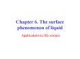 Chapter 6. The surface phenomenon of liquid PowerPoint PPT Presentation