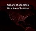 Organophosphates PowerPoint PPT Presentation